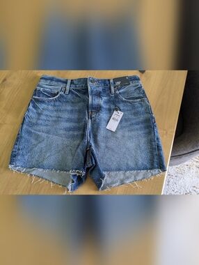 Express Blue Denim Cutoff Shorts